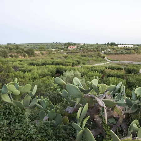 Casa Aloe Vera