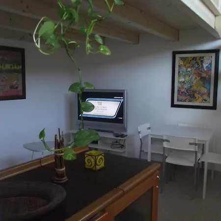 Casa Aloe Vera * Конверсано